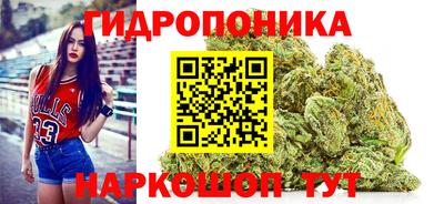 дмт Брянск