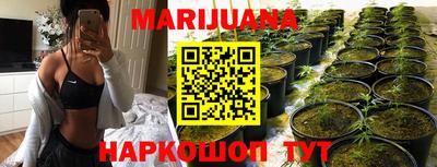 гашик Братск