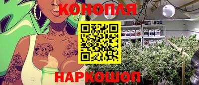 дмт Брянск