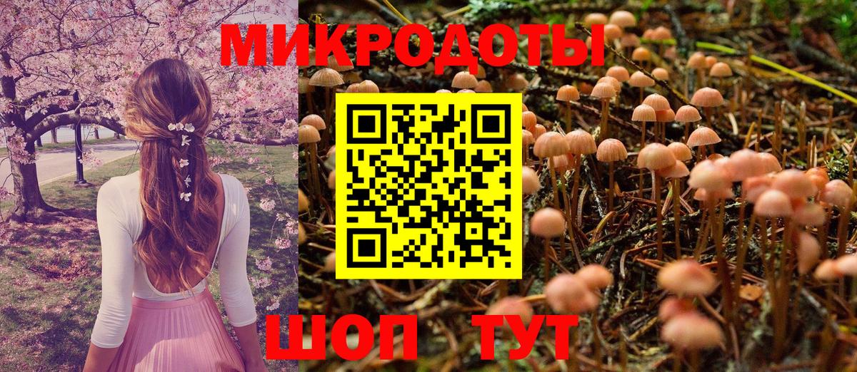Галлюциногенные грибы мицелий Воскресенск